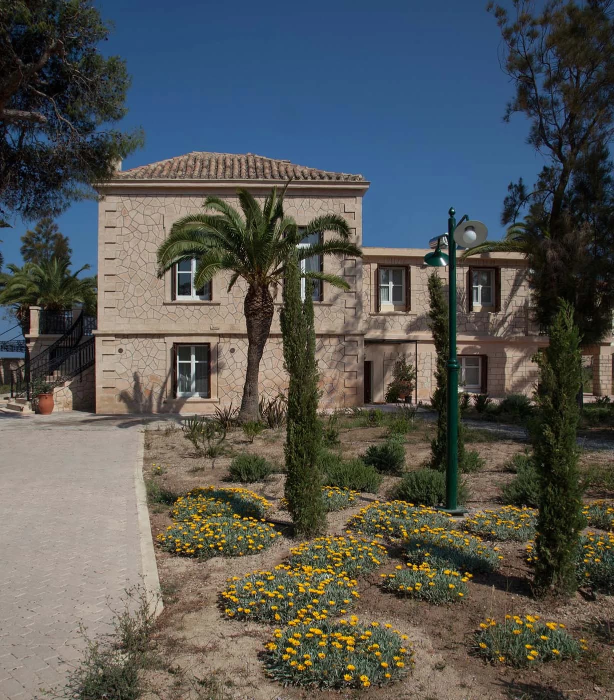 Garden with pistachio trees