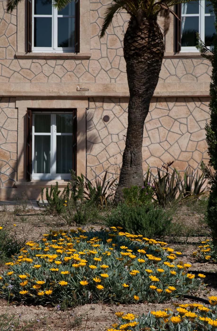 Garden palm trees and greenery